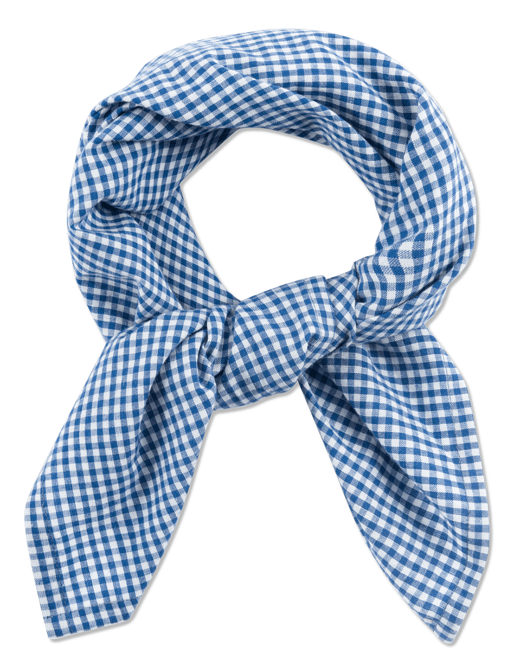 NICO SCARF - GINGHAM MINI BLUE